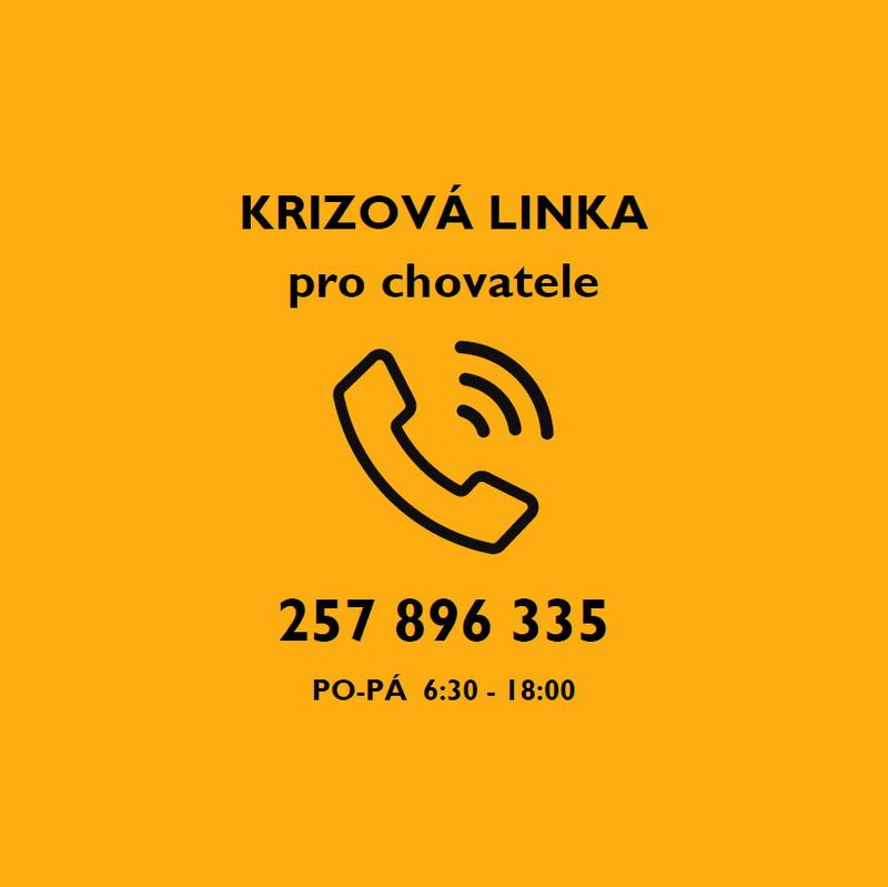 INFORMACE TÝKAJÍCÍ SE SITUACE OHLEDNĚ MOŽNÉHO ŠÍŘENÍ SLINTAVKY A KULHAVKY V EVROPĚ
