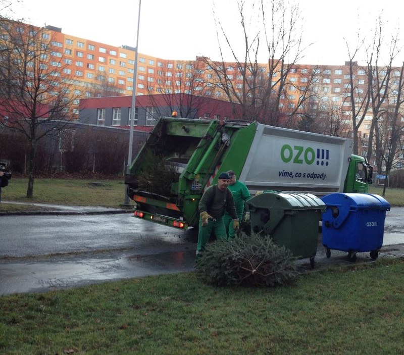MĚSTO OPĚT ZAJISTÍ SVOZ VÁNOČNÍCH STROMKŮ OD KONTEJNEROVÝCH STÁNÍ 