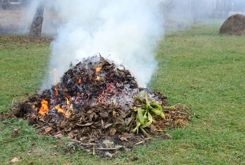 ZÁKAZ SPALOVÁNÍ SUCHÉHO ROSTLINNÉHO MATERIÁLU 